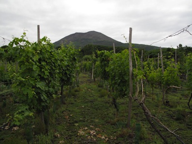 https://www.eolopress.it/index/wp-content/uploads/2014/06/vesuvio-vigneti.jpg